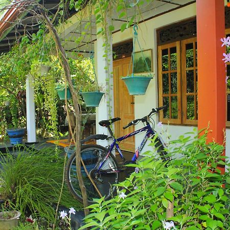 Nature Night Homestay Σιγκιρίγια Εξωτερικό φωτογραφία