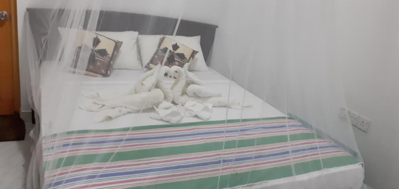 Nature Night Homestay Σιγκιρίγια Εξωτερικό φωτογραφία