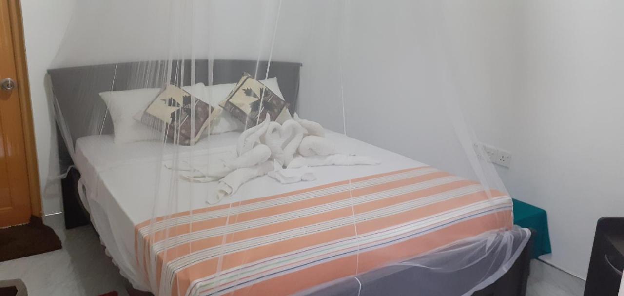 Nature Night Homestay Σιγκιρίγια Εξωτερικό φωτογραφία