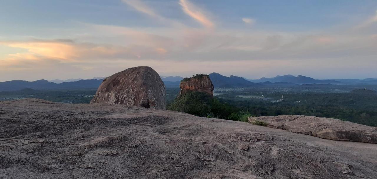Nature Night Homestay Σιγκιρίγια Εξωτερικό φωτογραφία